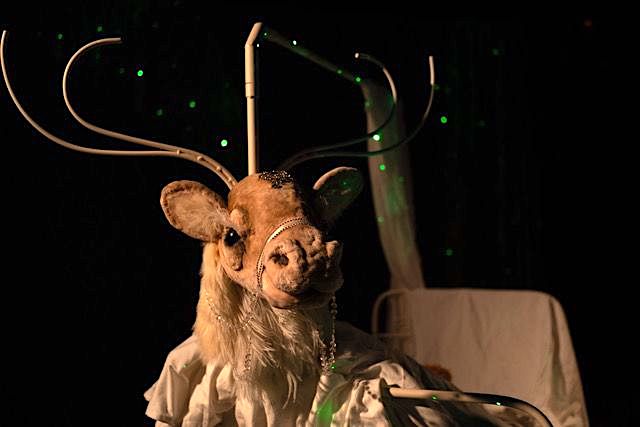 Mischkas wundersame Reise