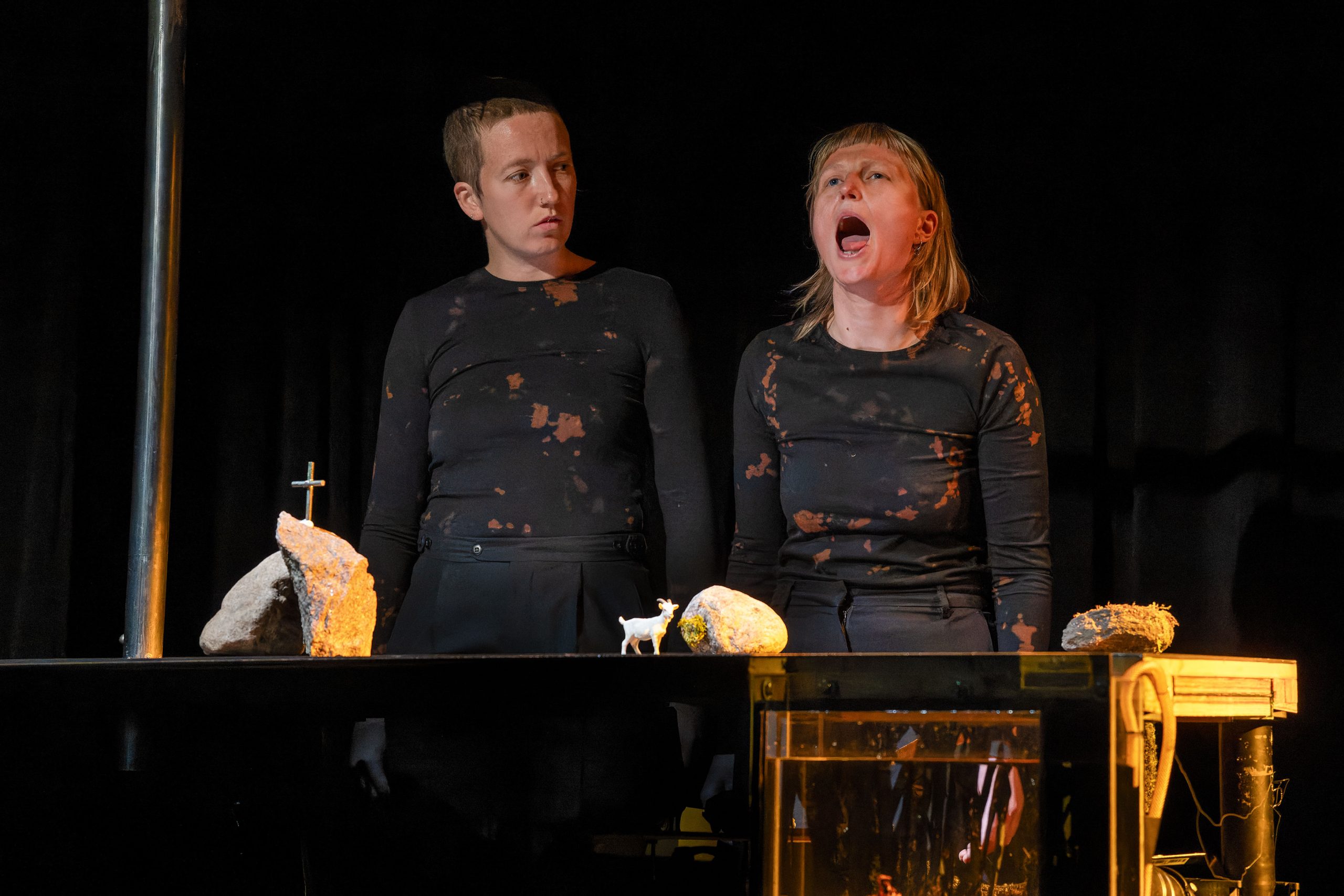 Anfang-Ziege-Ende_Freisprung_2025_Foto_Maren-Winter106-scaled Anfang Ziege Ende - Panne Fatale