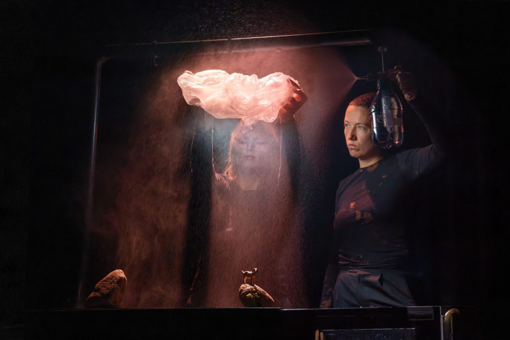 Anfang Ziege Ende - Panne Fatale