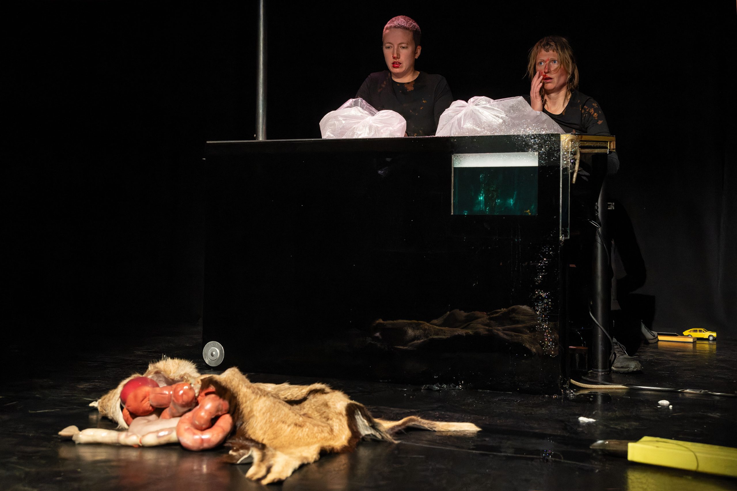 Anfang-Ziege-Ende_Freisprung_2025_Foto_Maren-Winter116-scaled Anfang Ziege Ende - Panne Fatale